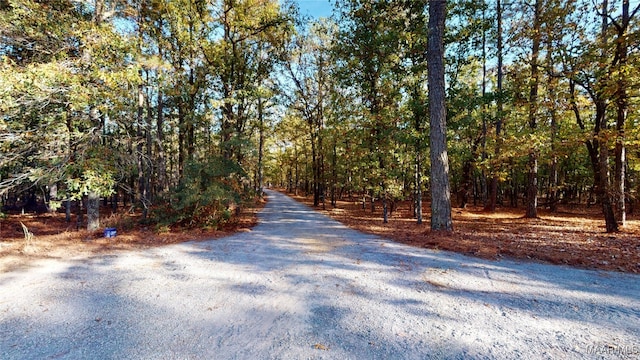 view of street