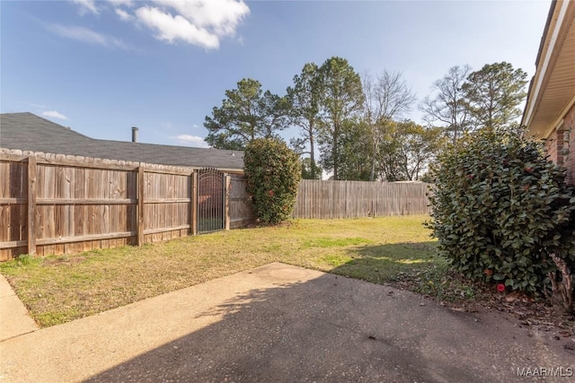 view of yard featuring a patio area