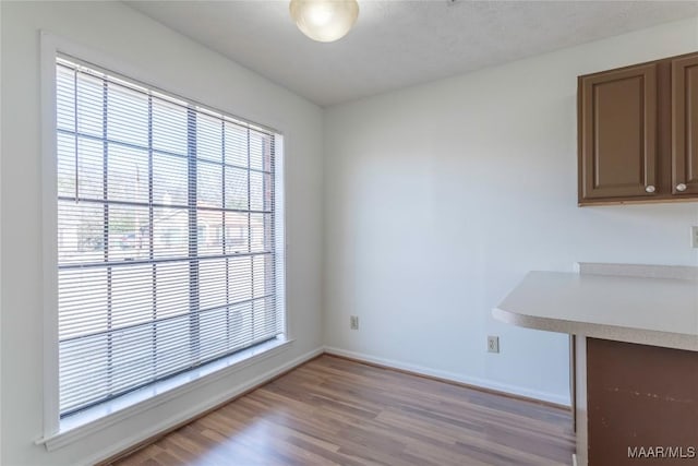 unfurnished dining area featuring light hardwood / wood-style flooring