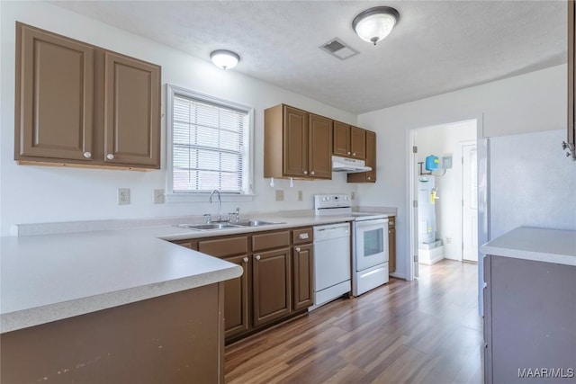 kitchen featuring hardwood / wood-style floors, water heater, sink, white appliances, and a textured ceiling