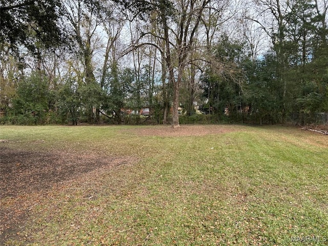 2602 Church St, Selma, AL 36701 - photo 3