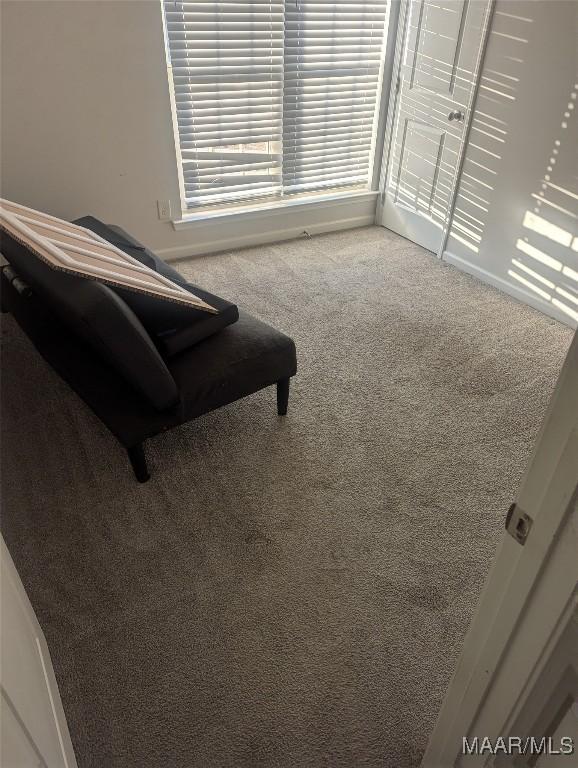 sitting room featuring carpet flooring