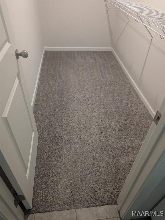 spacious closet with carpet