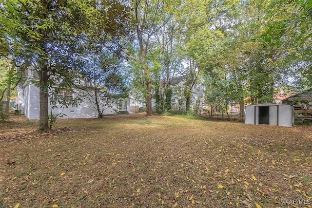 view of yard featuring a shed