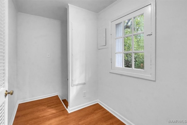 spare room featuring hardwood / wood-style floors, electric panel, and ornamental molding