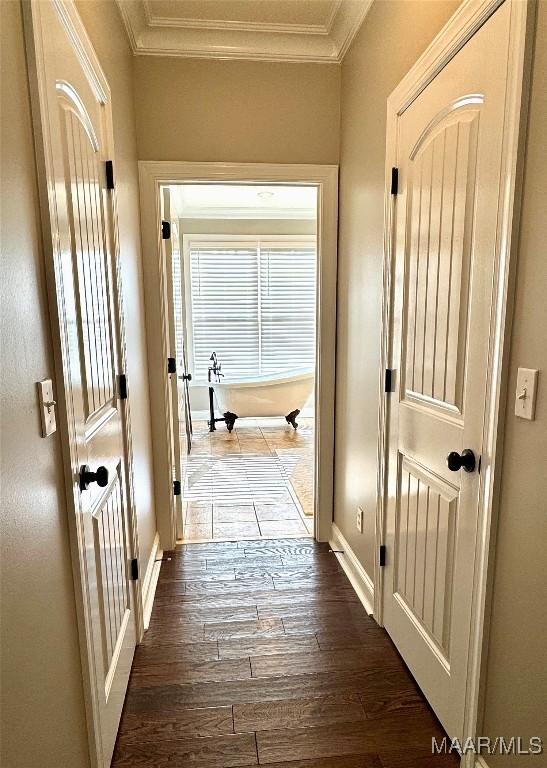 hallway featuring dark hardwood / wood-style flooring and crown molding