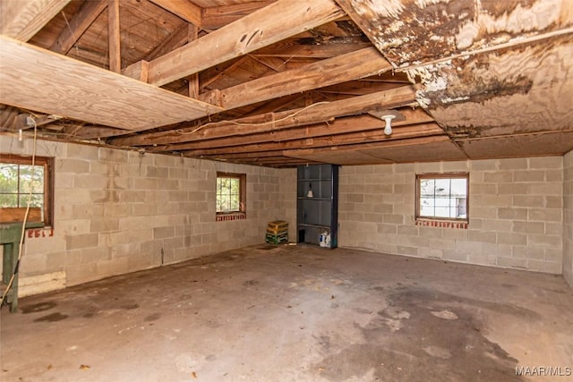 basement with plenty of natural light