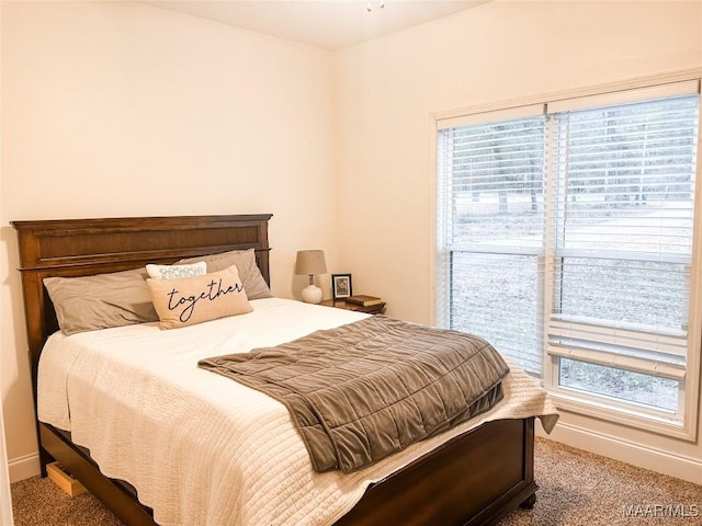 carpeted bedroom with multiple windows