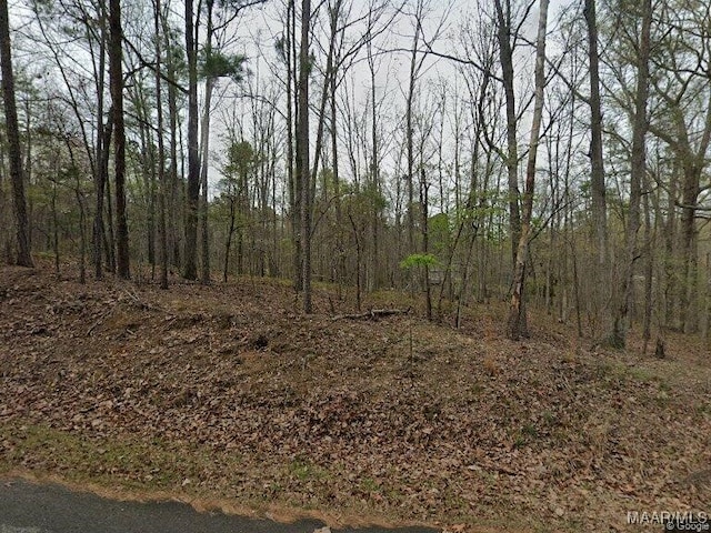 6300 Mountain Side Trl, Pinson, AL 35126