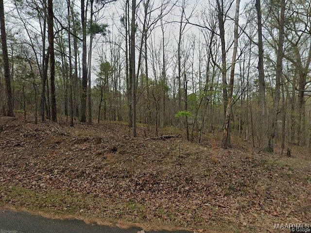 6300 Mountain Side Trl, Pinson AL, 35126 land for sale