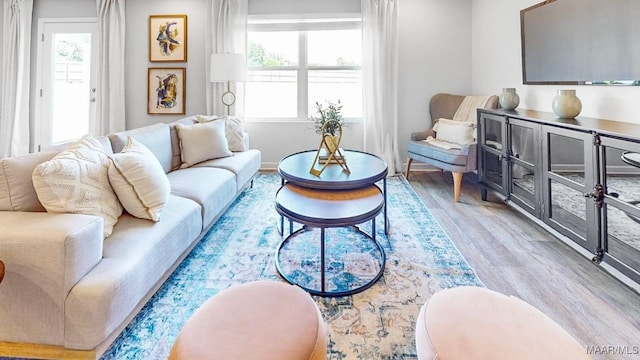 living room with light wood-type flooring