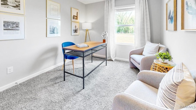 office area featuring carpet flooring