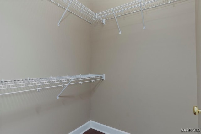 view of spacious closet