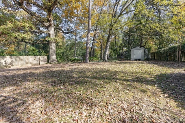 view of yard featuring a storage shed