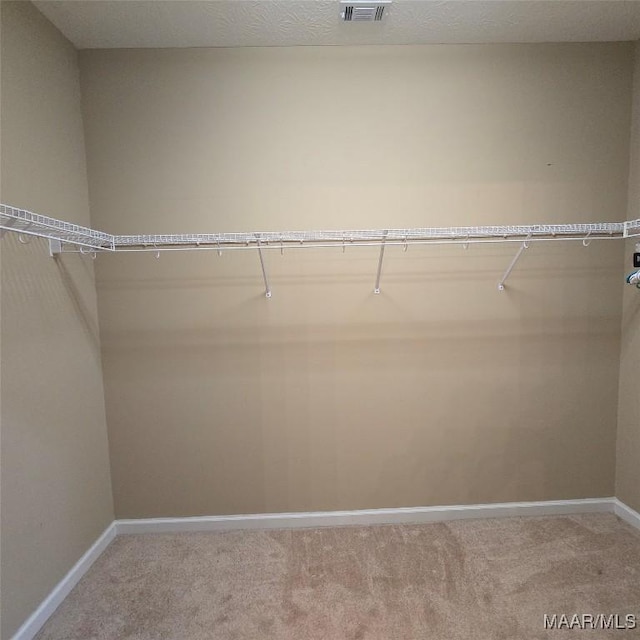 spacious closet with light carpet