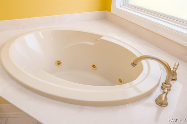 details featuring a tub