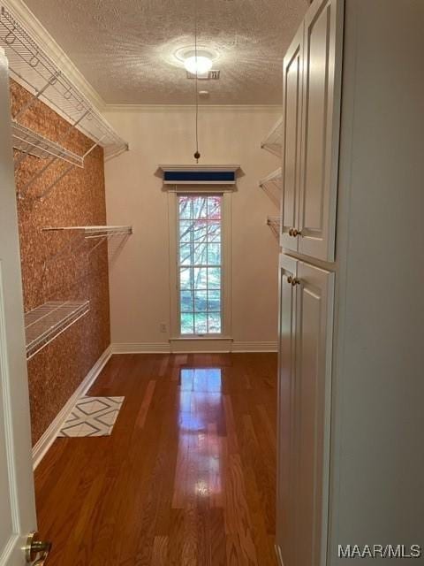 spacious closet featuring dark hardwood / wood-style flooring