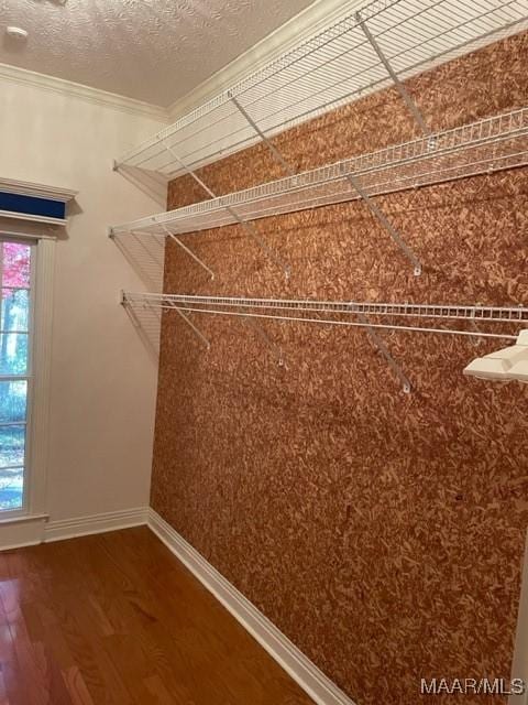 walk in closet featuring wood-type flooring