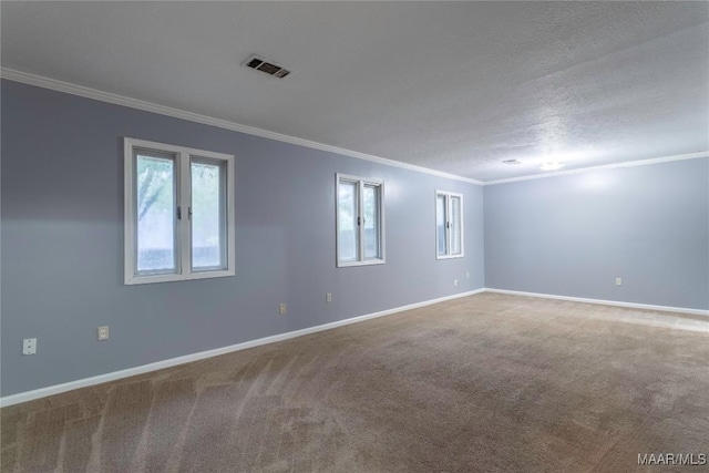 spare room featuring carpet, a textured ceiling, and crown molding