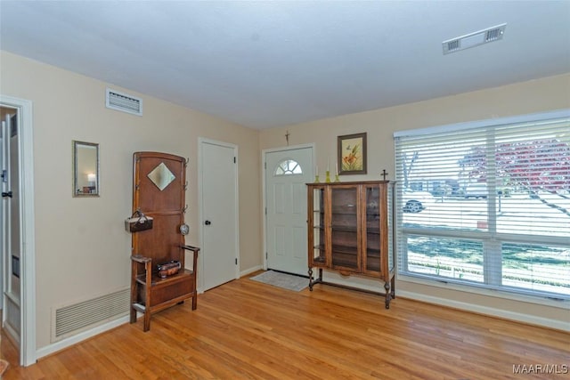 foyer with light hardwood / wood-style flooring