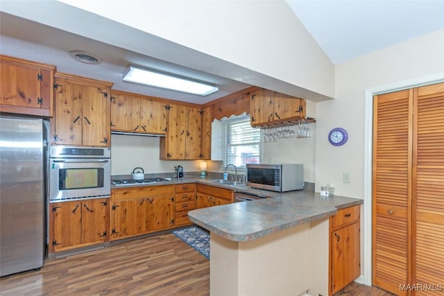 kitchen with appliances with stainless steel finishes, dark hardwood / wood-style flooring, vaulted ceiling, and sink