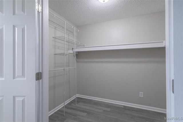 walk in closet featuring dark hardwood / wood-style flooring