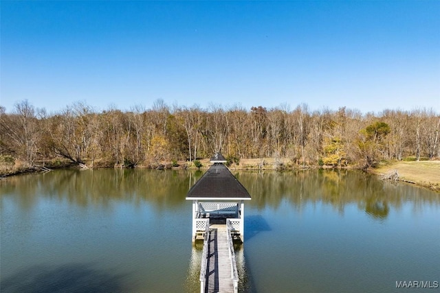 dock area with a water view