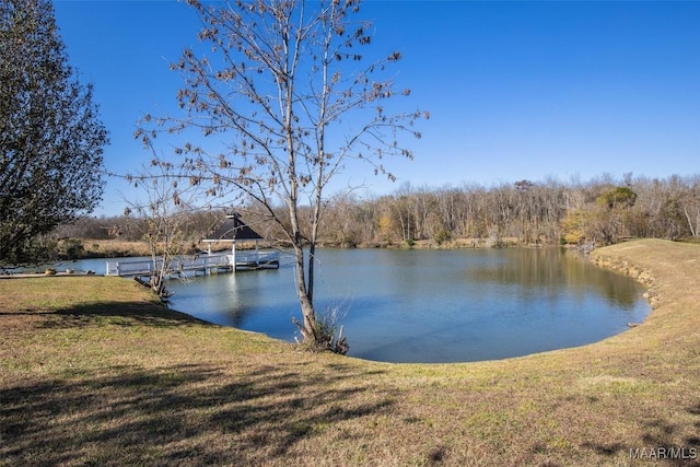 property view of water with a boat dock