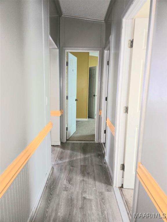 hallway featuring dark hardwood / wood-style flooring