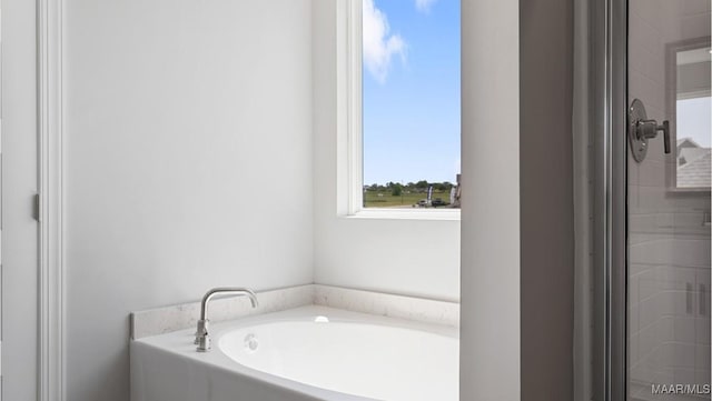 bathroom with shower with separate bathtub