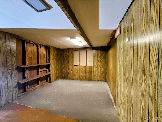 basement with wooden walls