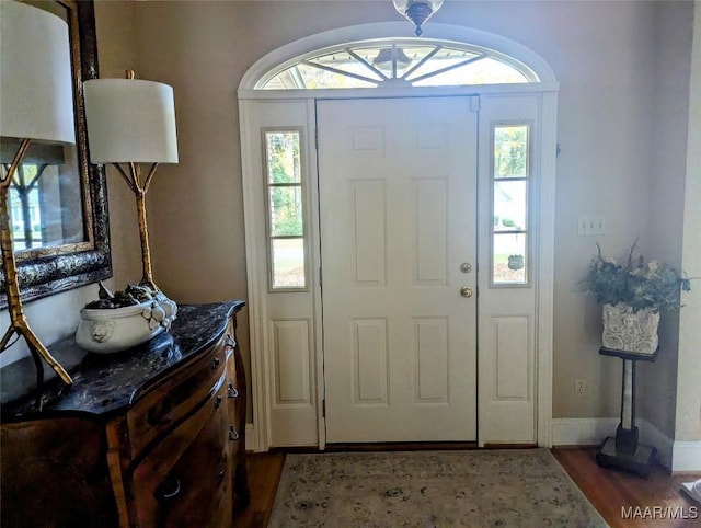 foyer with hardwood / wood-style floors and a healthy amount of sunlight