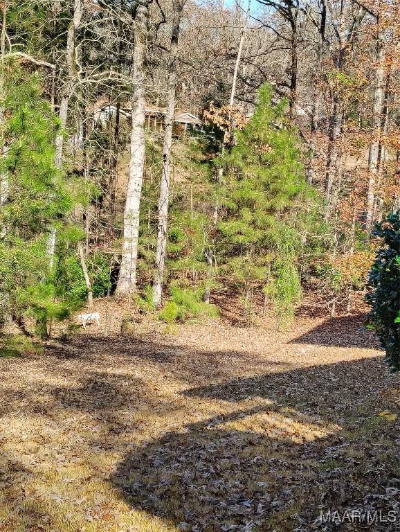 494 Fairway Rdg, Dadeville, AL 36853 - photo 5