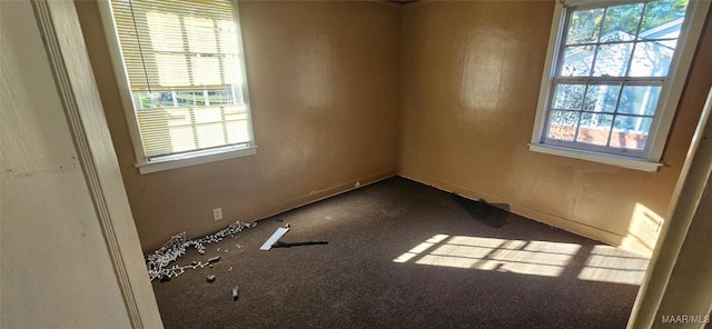 empty room featuring carpet