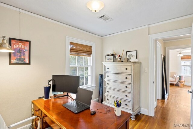 office area with light hardwood / wood-style floors, a wealth of natural light, and ornamental molding