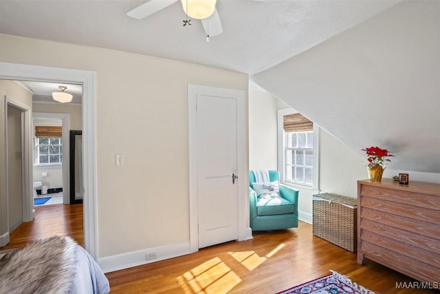 bedroom featuring ceiling fan, wood-type flooring, and multiple windows