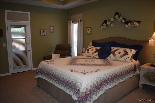 bedroom featuring carpet and multiple windows