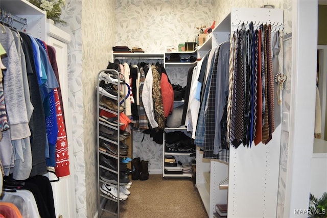 walk in closet with carpet floors