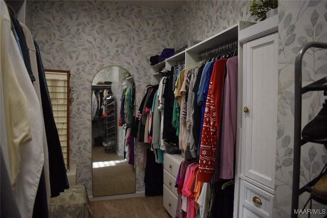 spacious closet with light colored carpet