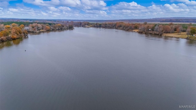 2065 Robinson Pond Rd, Prattville, AL 36067 - property view of water