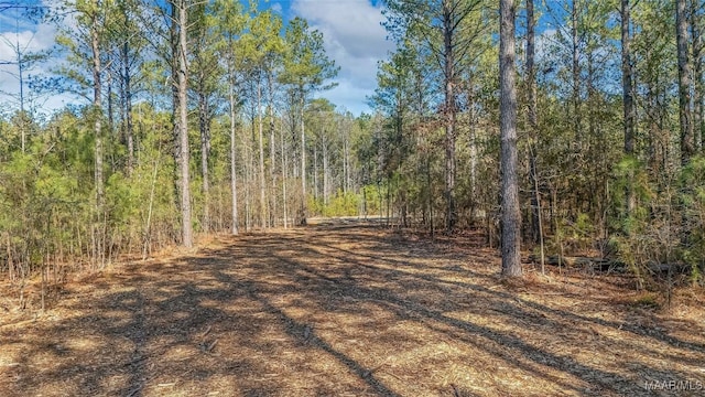 2065 Robinson Pond Rd, Prattville, AL 36067 - view of local wilderness with a forest view