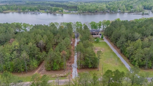 2065 Robinson Pond Rd, Prattville, AL 36067 - aerial view with a forest view and a water view