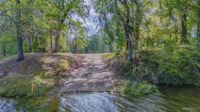 2065 Robinson Pond Rd, Prattville, AL 36067 - exterior space with a forest view and a water view