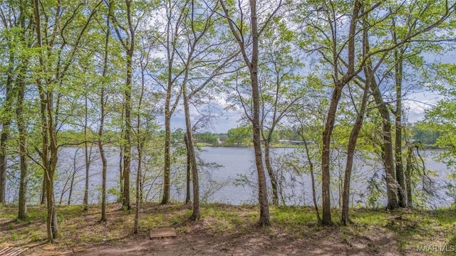 2065 Robinson Pond Rd, Prattville, AL 36067 - view of water feature