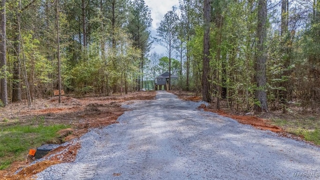 2065 Robinson Pond Rd, Prattville, AL 36067 - view of street featuring gravel driveway and a wooded view