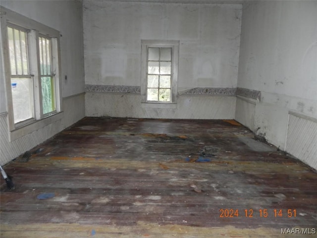 spare room featuring plenty of natural light and dark wood-type flooring