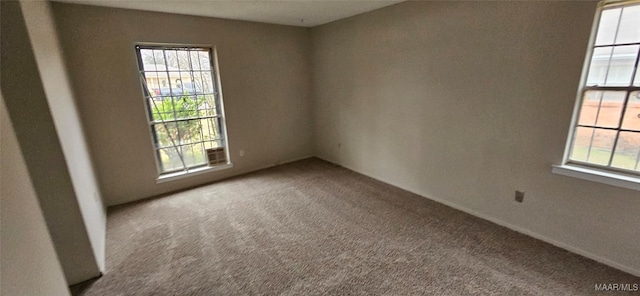 unfurnished room featuring carpet floors