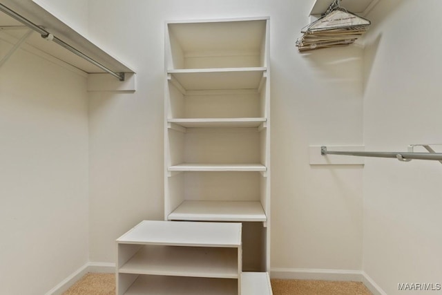 spacious closet with carpet flooring