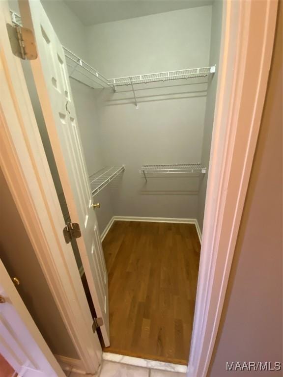 spacious closet with hardwood / wood-style flooring