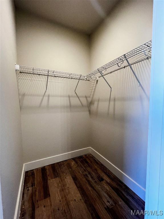 spacious closet featuring dark wood-type flooring